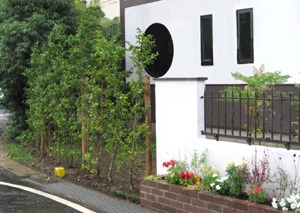 道路沿いの生垣と花壇