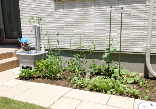 施工後の家庭菜園の写真
