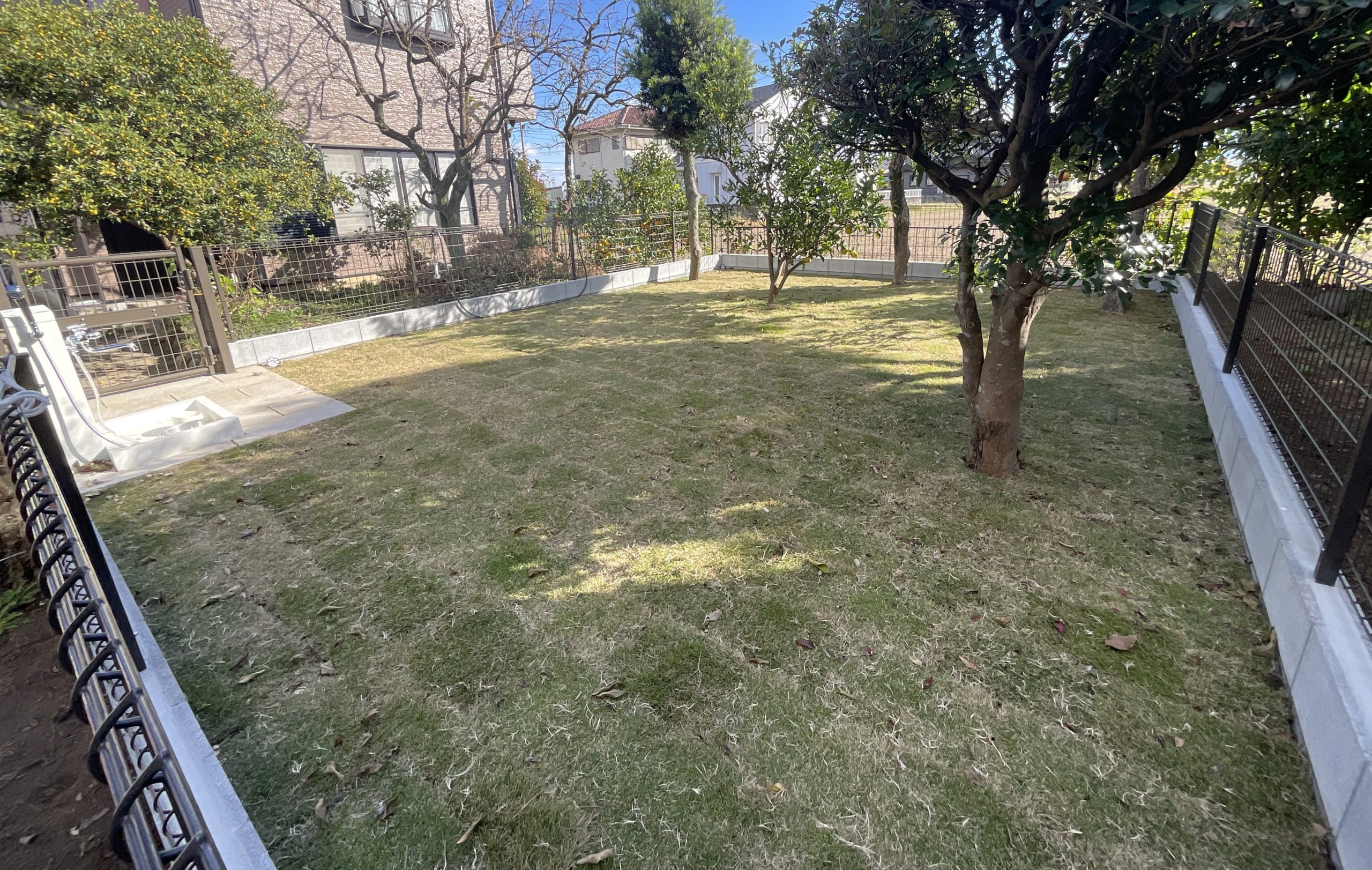 施工後 ドッグガーデン中の様子