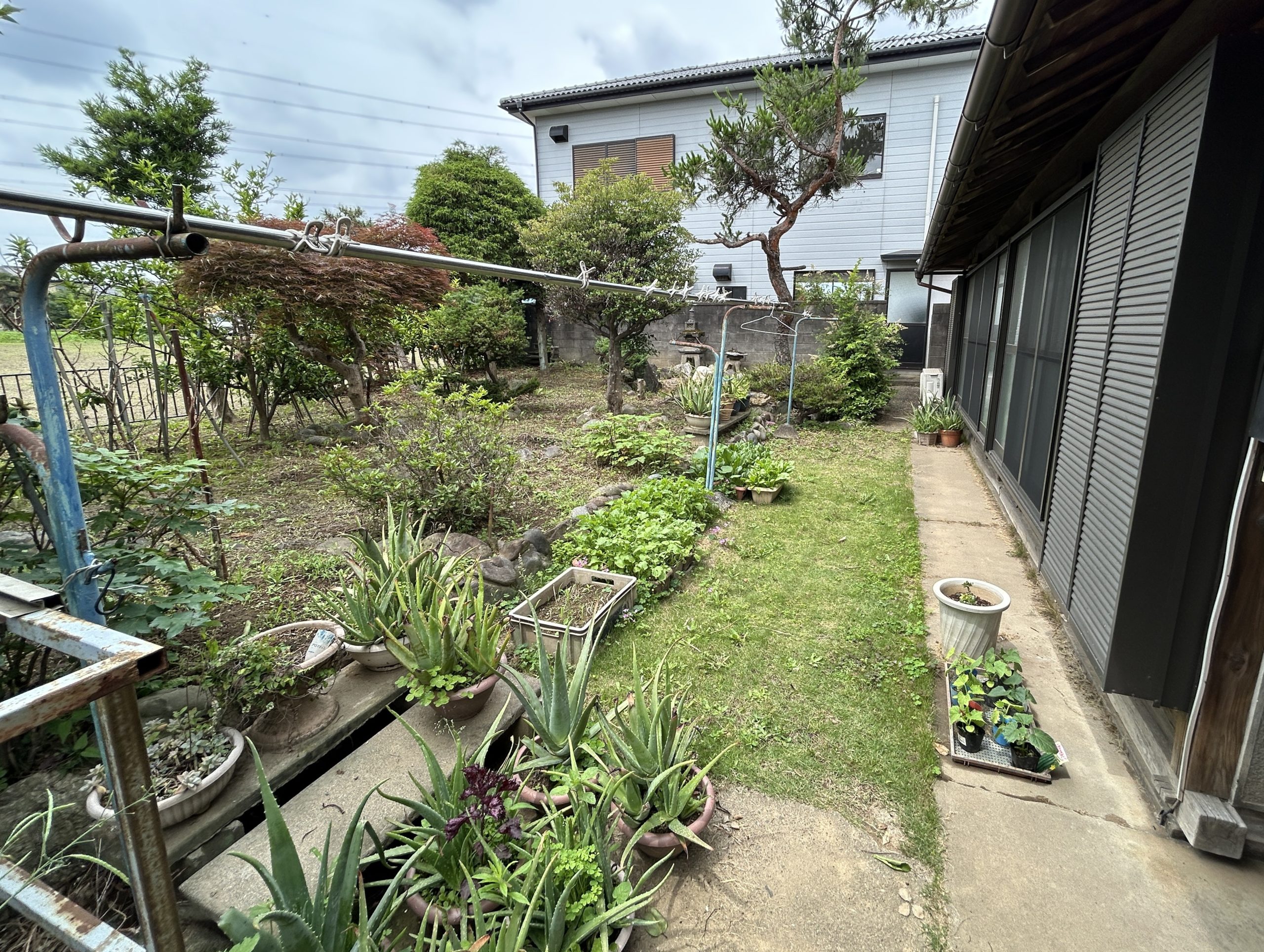 施工前のお庭の様子