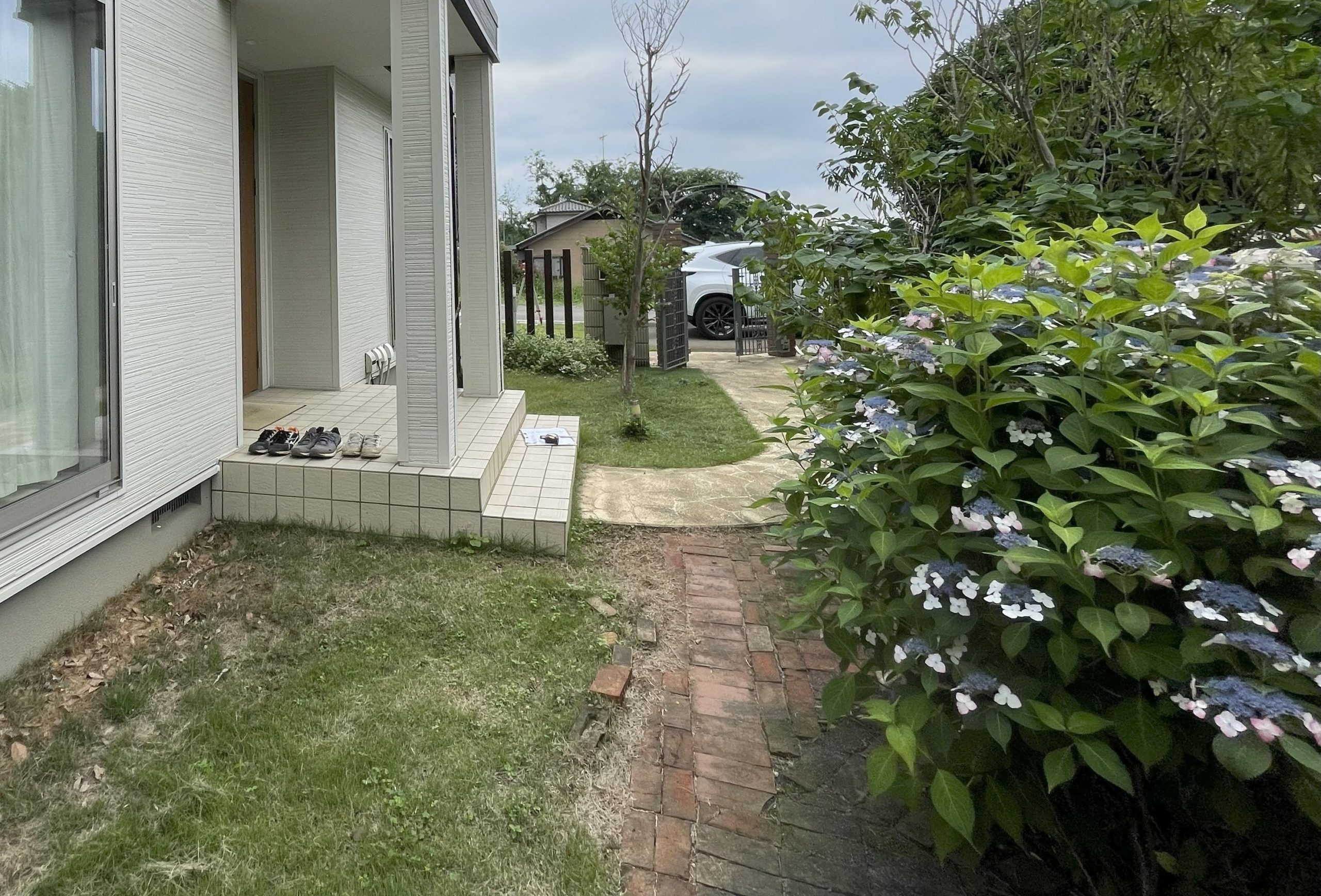 施工前のお庭の中の様子